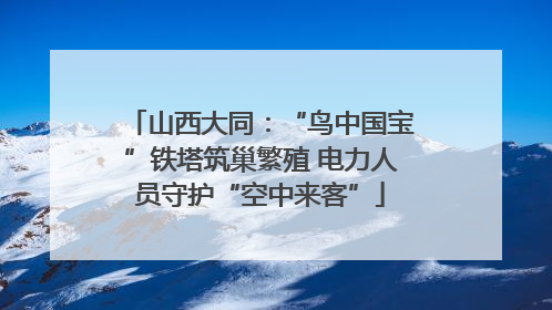 山西大同：“鸟中国宝”铁塔筑巢繁殖 电力人员守护“空中来客”