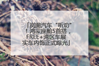 岚图汽车“听劝”！鸿蒙座舱5首搭，FREE+湾区车展实车内饰正式曝光