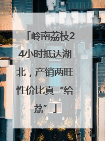 岭南荔枝24小时抵达湖北，产销两旺性价比真“给荔”