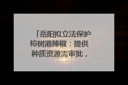 岳阳拟立法保护樟树港辣椒：提供种质资源需审批，违规最高罚5万
