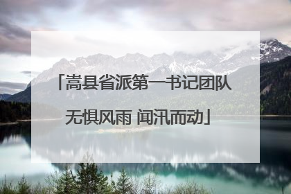 嵩县省派第一书记团队 无惧风雨 闻汛而动