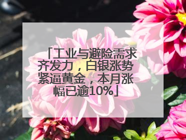 工业与避险需求齐发力，白银涨势紧逼黄金，本月涨幅已逾10%