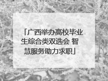 广西举办高校毕业生综合类双选会 智慧服务助力求职