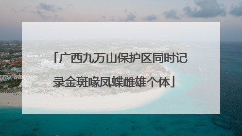 广西九万山保护区同时记录金斑喙凤蝶雌雄个体