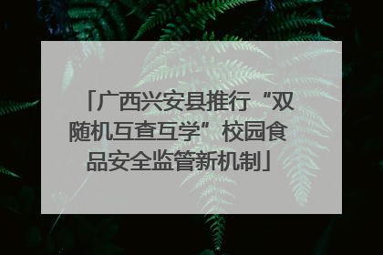 广西兴安县推行“双随机互查互学”校园食品安全监管新机制