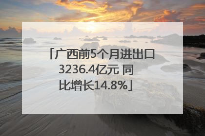 广西前5个月进出口3236.4亿元 同比增长14.8%