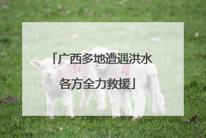 广西多地遭遇洪水 各方全力救援