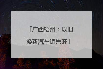 广西梧州：以旧换新汽车销售旺