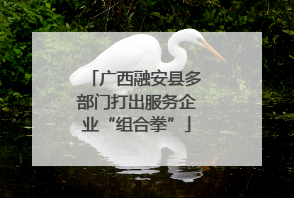 广西融安县多部门打出服务企业“组合拳”