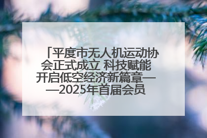 平度市无人机运动协会正式成立 科技赋能开启低空经济新篇章——2025年首届会员大会暨无人机应用发展论坛成功举办