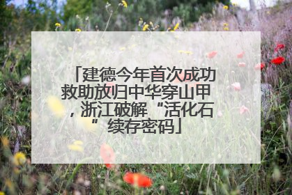 建德今年首次成功救助放归中华穿山甲，浙江破解“活化石”续存密码