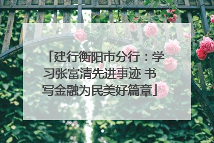 建行衡阳市分行：学习张富清先进事迹 书写金融为民美好篇章