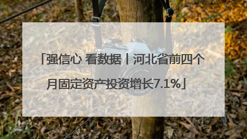 强信心 看数据丨河北省前四个月固定资产投资增长7.1%