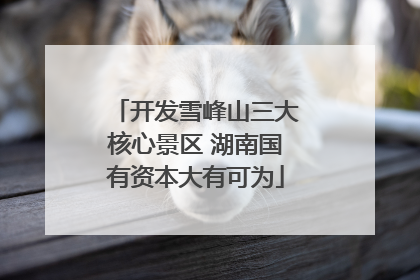 开发雪峰山三大核心景区 湖南国有资本大有可为
