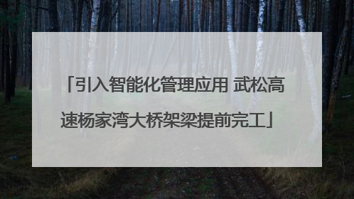 引入智能化管理应用 武松高速杨家湾大桥架梁提前完工