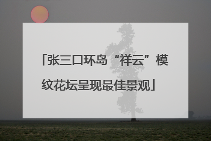 张三口环岛“祥云”模纹花坛呈现最佳景观