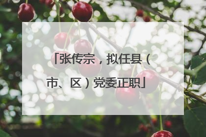 张传宗，拟任县（市、区）党委正职
