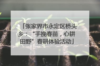 张家界市永定区桥头乡：“手挽春苗，心耕田野”春耕体验活动