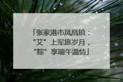 张家港市凤凰镇：“艾”上军旅岁月，“粽”享端午温情