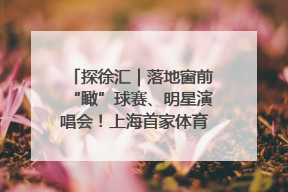 探徐汇｜落地窗前“瞰”球赛、明星演唱会！上海首家体育特色高端酒店亮相