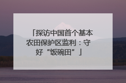 探访中国首个基本农田保护区监利：守好“饭碗田”