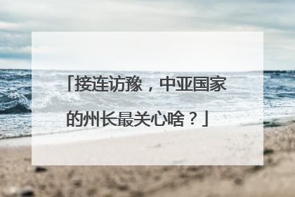 接连访豫，中亚国家的州长最关心啥？
