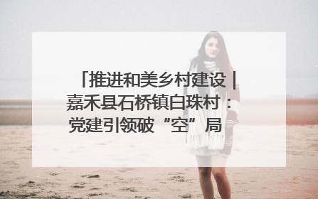 推进和美乡村建设｜嘉禾县石桥镇白珠村：党建引领破“空”局 乡贤聚力绘就新图景