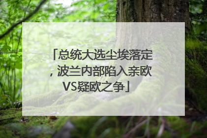 总统大选尘埃落定，波兰内部陷入亲欧VS疑欧之争