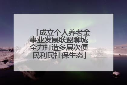 成立个人养老金事业发展联盟聊城全力打造多层次便民利民社保生态