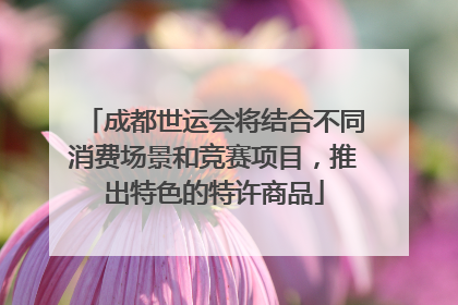 成都世运会将结合不同消费场景和竞赛项目，推出特色的特许商品