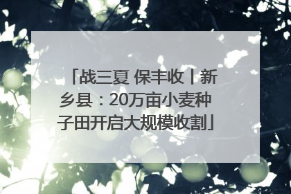 战三夏 保丰收丨新乡县：20万亩小麦种子田开启大规模收割