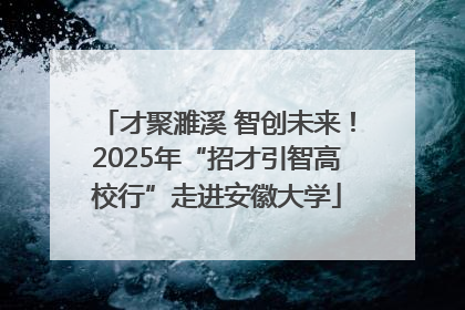 才聚濉溪 智创未来！2025年“招才引智高校行”走进安徽大学
