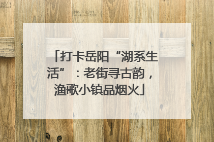 打卡岳阳“湖系生活”：老街寻古韵，渔歌小镇品烟火
