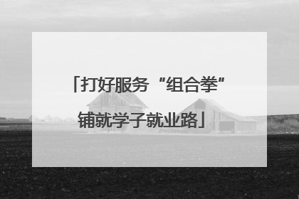 打好服务“组合拳” 铺就学子就业路