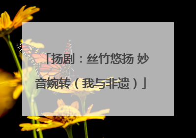 扬剧：丝竹悠扬 妙音婉转（我与非遗）