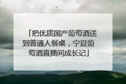 把优质国产葡萄酒送到普通人餐桌，宁夏葡萄酒直播间成长记