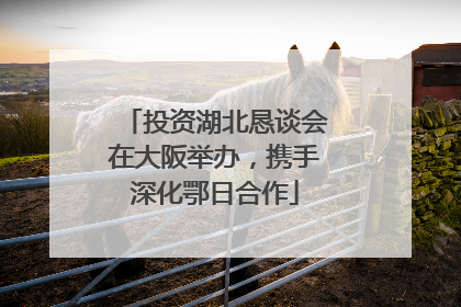 投资湖北恳谈会在大阪举办，携手深化鄂日合作