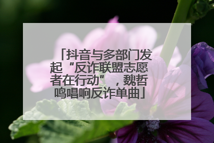 抖音与多部门发起“反诈联盟志愿者在行动”，魏哲鸣唱响反诈单曲