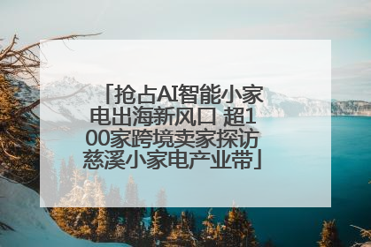 抢占AI智能小家电出海新风口 超100家跨境卖家探访慈溪小家电产业带