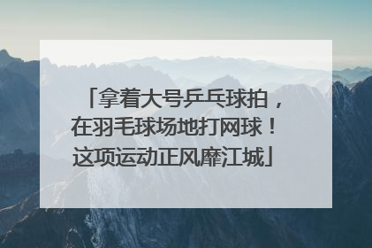 拿着大号乒乓球拍，在羽毛球场地打网球！这项运动正风靡江城