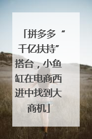 拼多多“千亿扶持”搭台，小鱼缸在电商西进中找到大商机