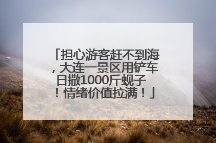担心游客赶不到海，大连一景区用铲车日撒1000斤蚬子！情绪价值拉满！