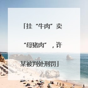 挂“牛肉”卖“母猪肉”，许某被判处刑罚