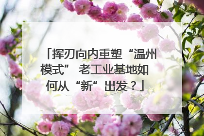 挥刃向内重塑“温州模式” 老工业基地如何从“新”出发？