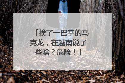 挨了一巴掌的马克龙，在越南说了些啥？危险！
