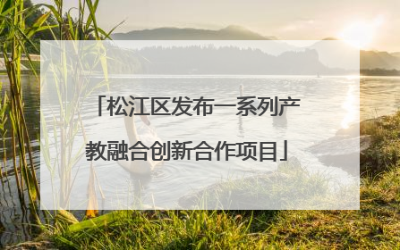 松江区发布一系列产教融合创新合作项目