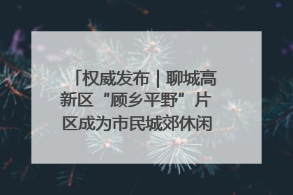 权威发布｜聊城高新区“顾乡平野”片区成为市民城郊休闲全新目的地