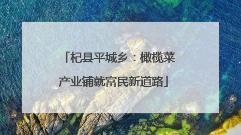 杞县平城乡：橄榄菜产业铺就富民新道路