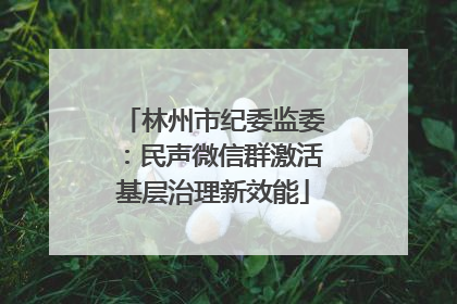 林州市纪委监委：民声微信群激活基层治理新效能