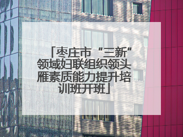 枣庄市“三新”领域妇联组织领头雁素质能力提升培训班开班